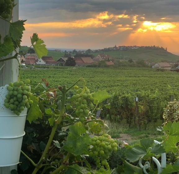 سوییت با چشم‌انداز کوه, Gite Riquewihr C Est Beau La Vie Alsace