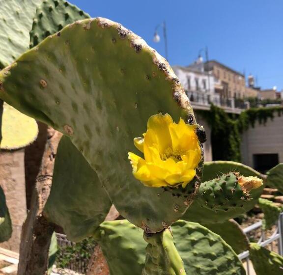 اتاق خانوادگی, Lamanna Summer House