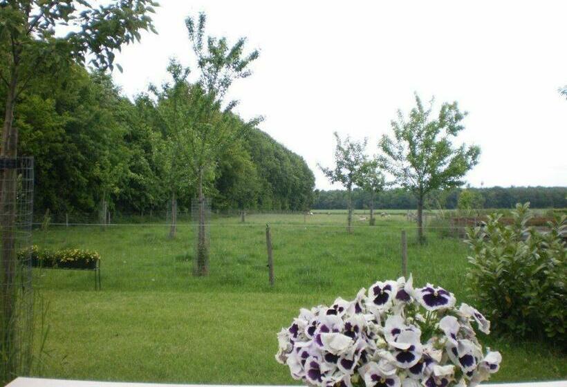 חדר דלוקס נוף לגינה, Pipowagen Lidewei Groningen Westerwolde Unieke Ligging Met Eigen Tuin En Vrij Uitzicht Over Veld Naa