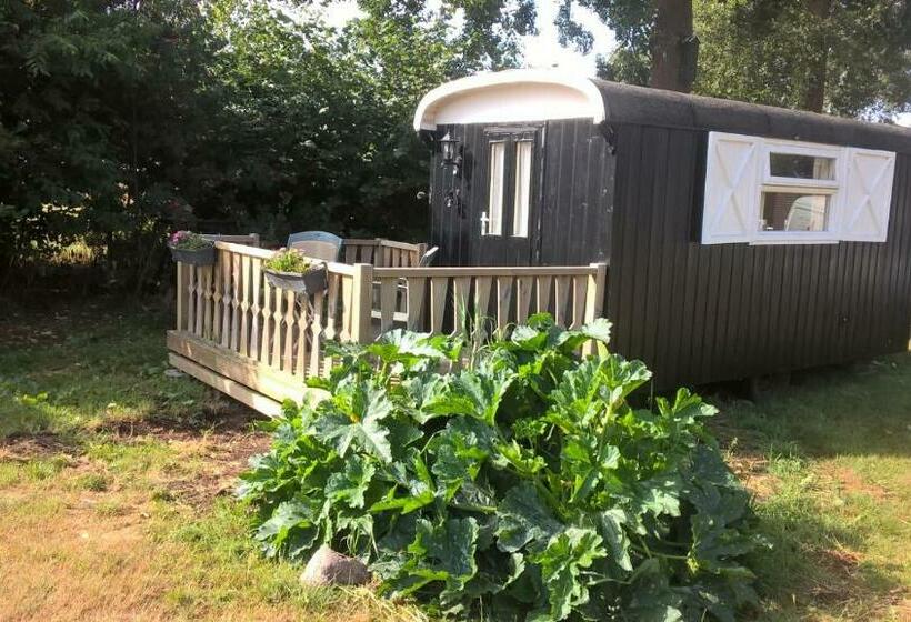 اتاق لوکس با چشم‌انداز باغ, Pipowagen Lidewei Groningen Westerwolde Unieke Ligging Met Eigen Tuin En Vrij Uitzicht Over Veld Naa