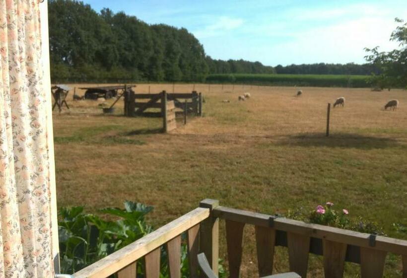 חדר דלוקס נוף לגינה, Pipowagen Lidewei Groningen Westerwolde Unieke Ligging Met Eigen Tuin En Vrij Uitzicht Over Veld Naa