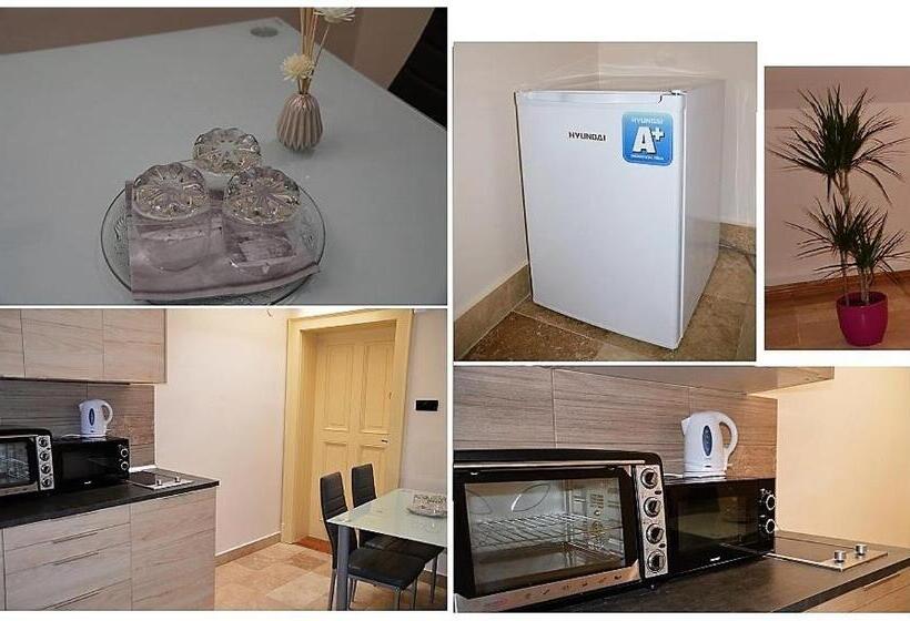استودیوی استاندارد, Downtown Apartments With Shared Kitchen