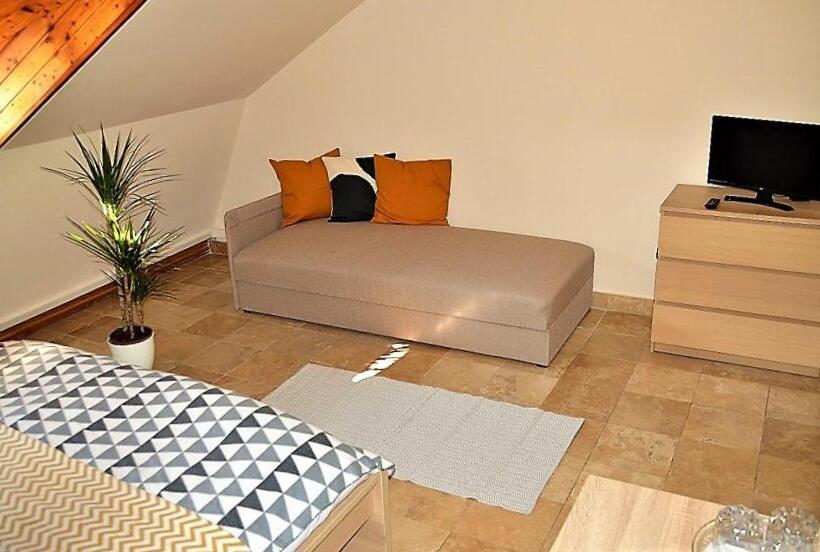 استودیوی استاندارد, Downtown Apartments With Shared Kitchen