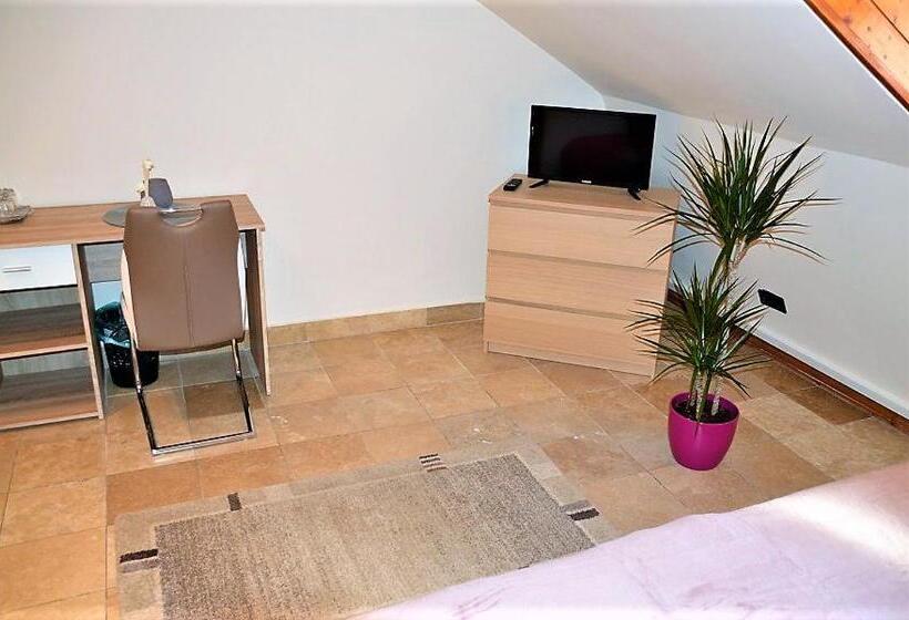 استودیوی استاندارد, Downtown Apartments With Shared Kitchen