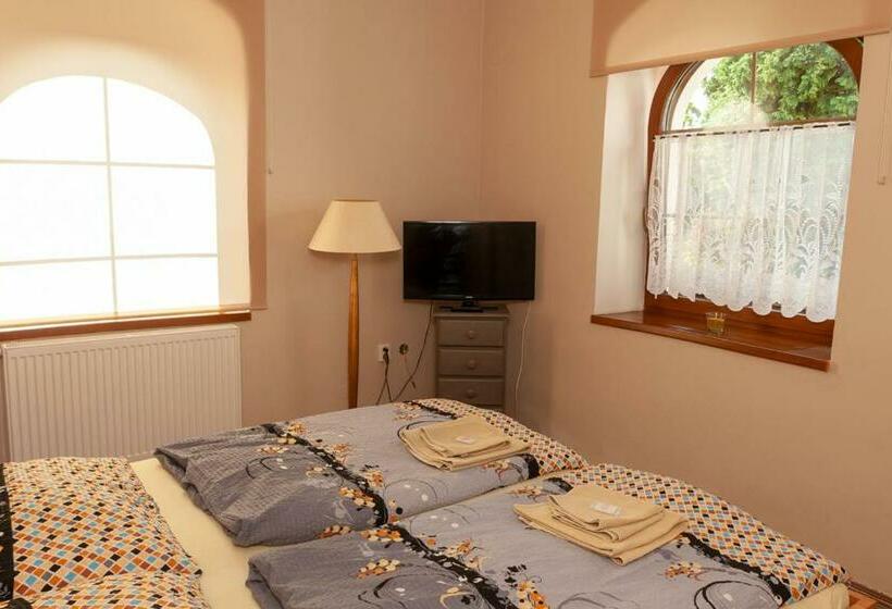 اتاق استاندارد با تخت بزرگ, Penzion Na Hradčanech