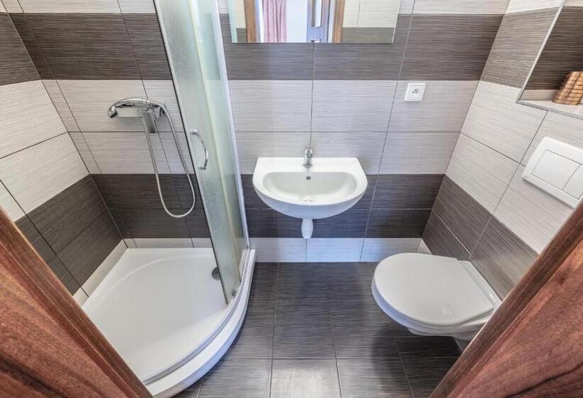 اتاق استاندارد با تخت بزرگ, Penzion Na Hradčanech