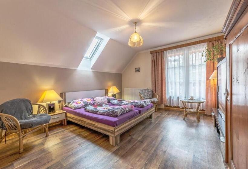 اتاق استاندارد با تخت بزرگ, Penzion Na Hradčanech