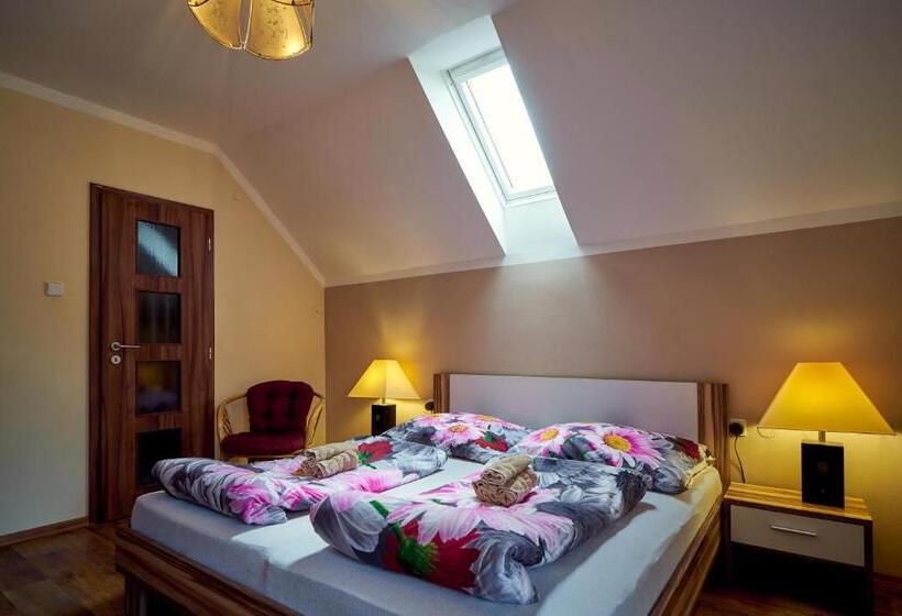 اتاق استاندارد با تخت بزرگ, Penzion Na Hradčanech