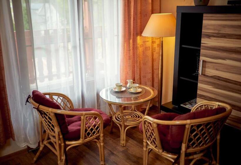 اتاق استاندارد با تخت بزرگ, Penzion Na Hradčanech