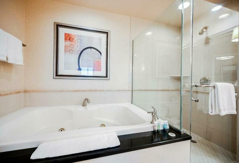 استودیوی استاندارد, Stripviewsuites At Signature