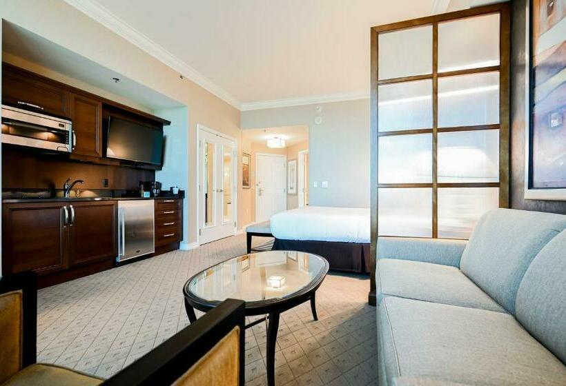 استودیوی استاندارد, Stripviewsuites At Signature