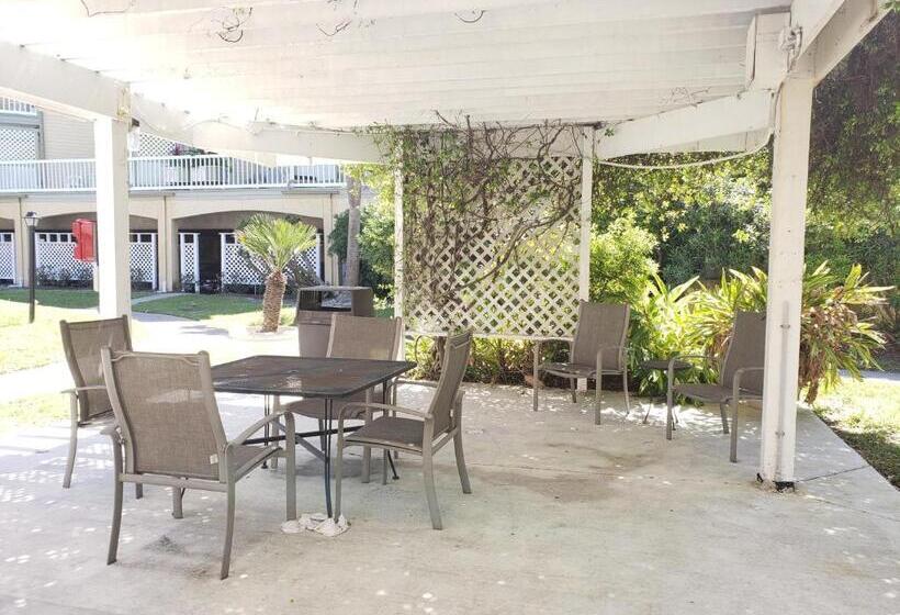 آپارتمان 1 خوابه با چشم‌انداز استخر, The Victorian Condo/