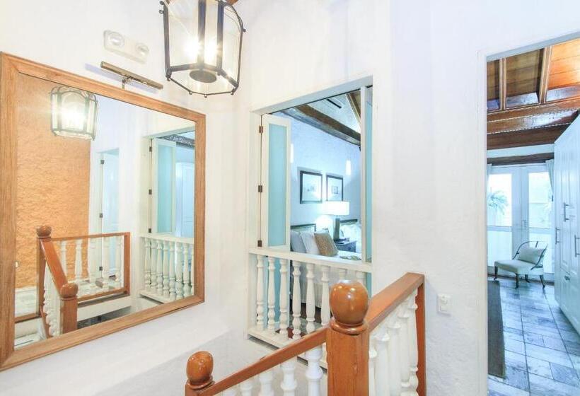 اتاق سوپریور, Boutique Casa Del Coliseo