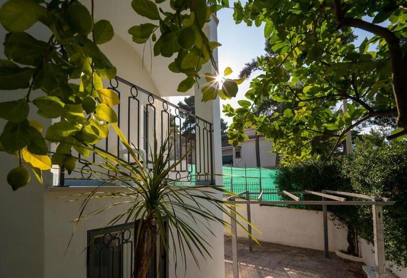 Standard Triple Room with Terrace, Park Hotel Villa Maria