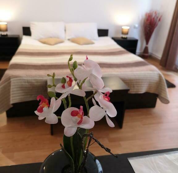 اتاق استاندارد, Casa Mais