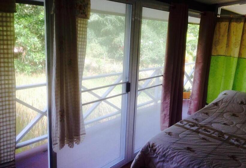 اتاق خانوادگی با چشم‌انداز باغ, Ariya Garden Home
