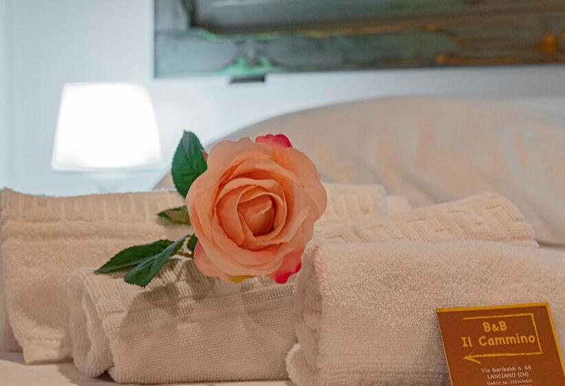 استودیوی استاندارد, B&b Il Cammino