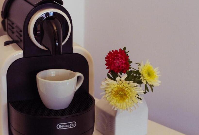 استودیوی استاندارد, Cesarotti B&b
