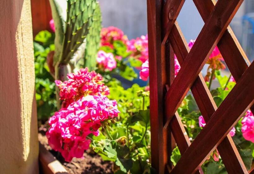 استودیوی استاندارد, Cesarotti B&b