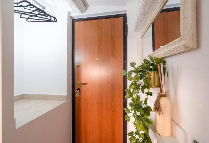 استودیوی استاندارد, Cesarotti B&b