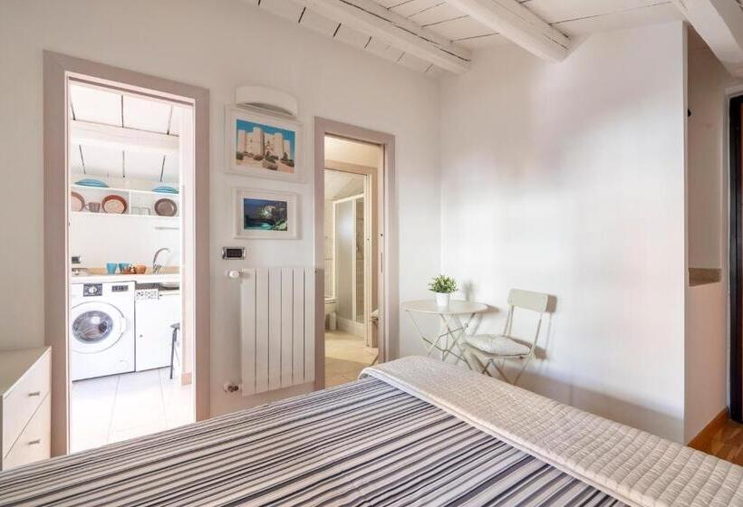 استودیوی استاندارد, Cesarotti B&b