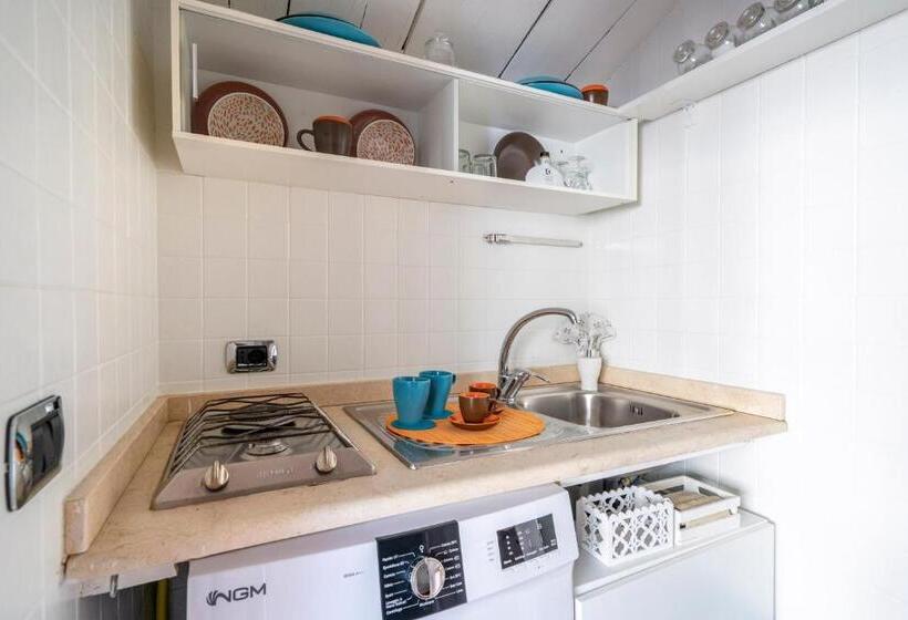 استودیوی استاندارد, Cesarotti B&b
