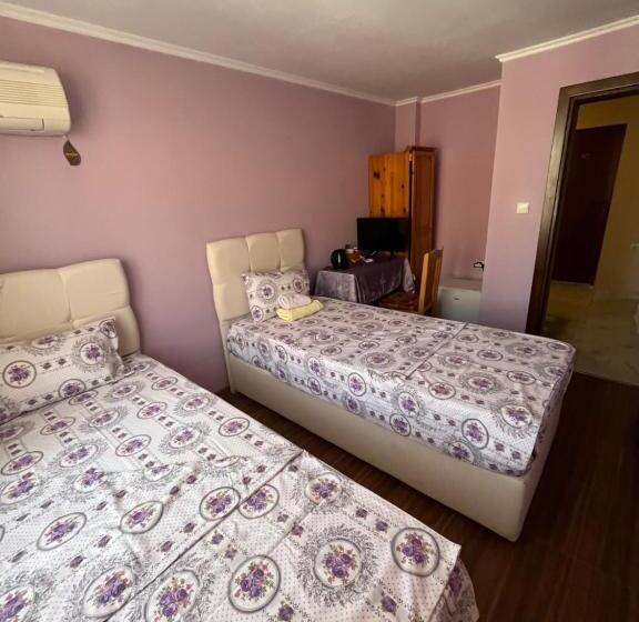 اتاق استاندارد یک نفره, Daniel Guest House