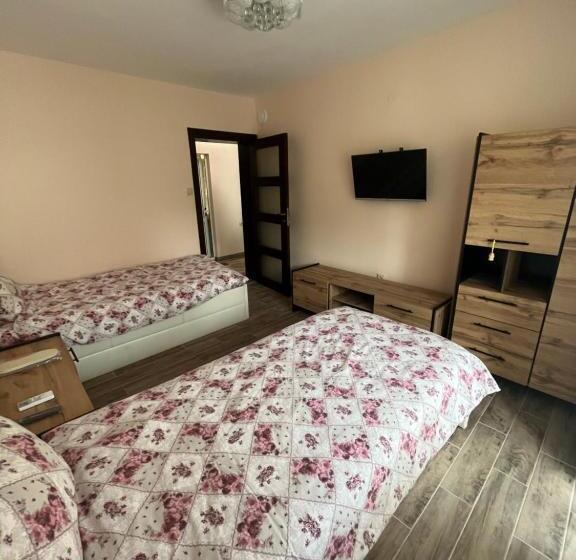 آپارتمان 1 خوابه همکف, Daniel Guest House