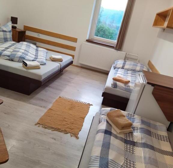 اتاق استاندارد چهار تخته, Penzion U Marešů