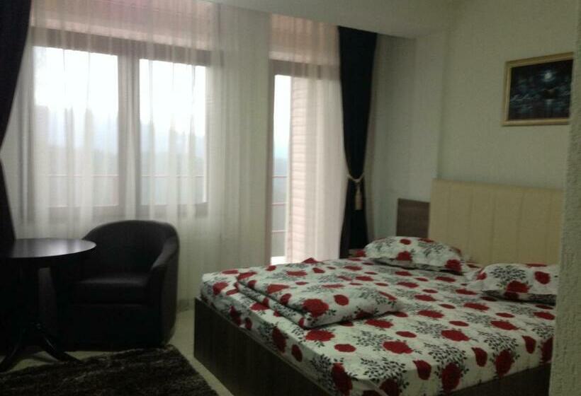 اتاق استاندارد, Pensiunea Roka