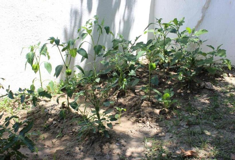 آپارتمان 1 خوابه با چشم‌انداز باغ, Summer Life Villa Apart