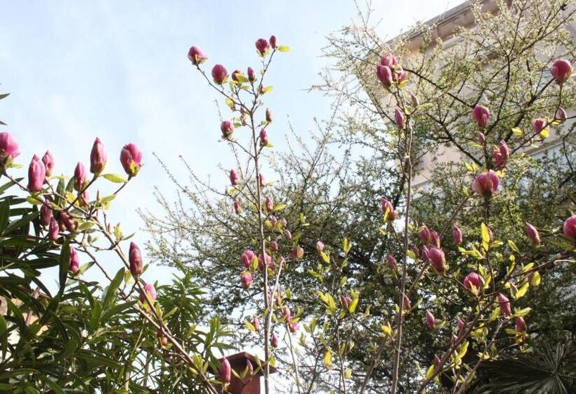 اتاق اکونومی, Guest House Dara
