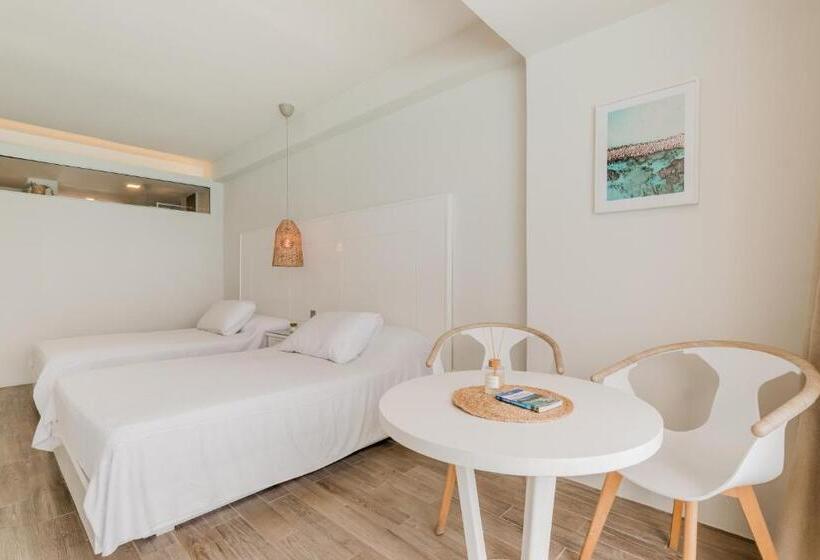 استودیوی استاندارد با چشم‌انداز دریا, The Ocean Vibes Suites By Casa Paraiso
