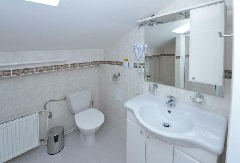 اتاق استاندارد, Wellness Pension Fulda černý Důl