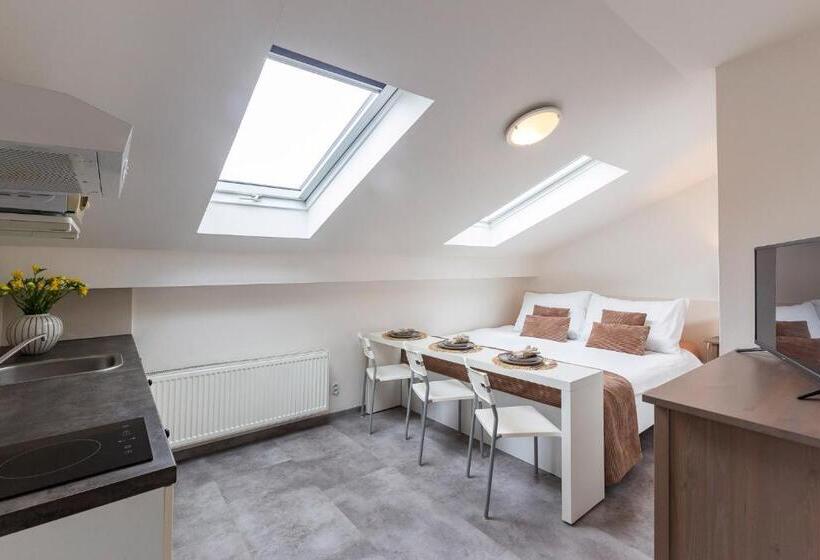 اتاق استاندارد, Wellness Pension Fulda černý Důl