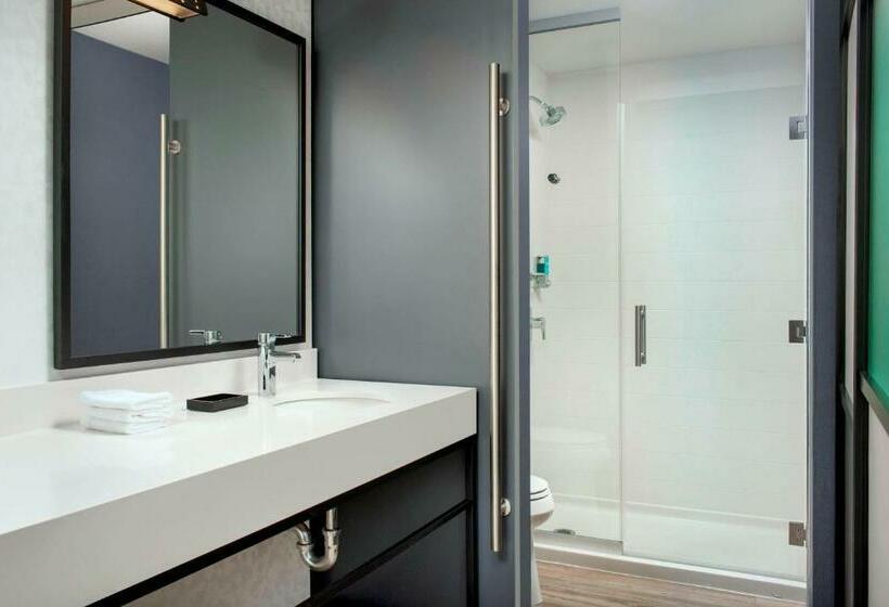 اتاق استاندارد با چشم‌انداز شهر, Aloft Wilmington At Coastline Center