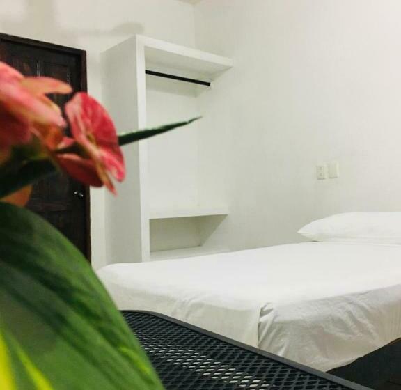 اتاق استاندارد, Room In Guest Room   Standard Room With Two Single Beds