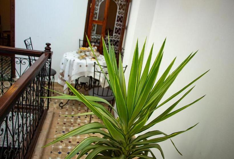 سوییت خانوادگی, Riad Dar Senhaji
