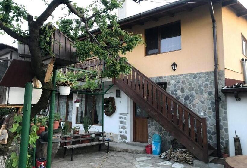 اتاق استاندارد, къща за гости градината