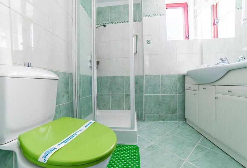 اتاق سوپریور با تخت بزرگ, Pensiunea Constanta