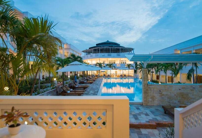 سوئیت با تخت بزرگ, Palma Resort