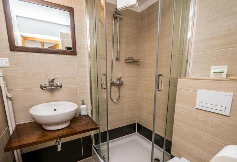 اتاق استاندارد, Ariston