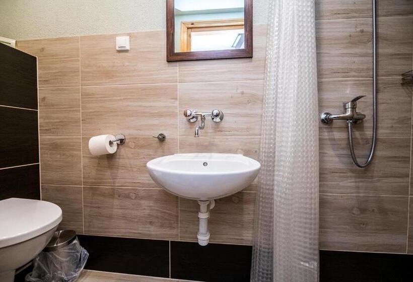 اتاق استاندارد, Ariston
