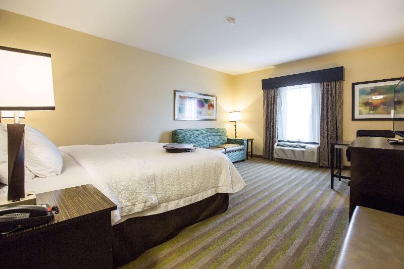 Standard Room King Size Bed, Hampton Inn & Suites Toledo/westgate