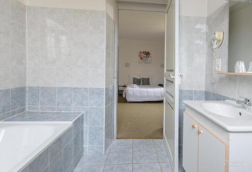 اتاق استاندارد با 2 تخت دوبل, Hôtel Pedussaut