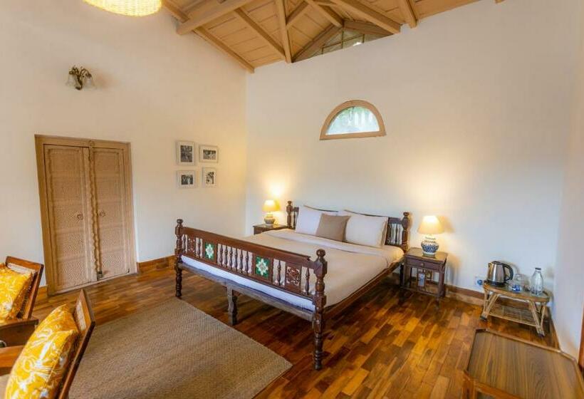 اتاق استاندارد, Seclude Ramgarh Arthouse