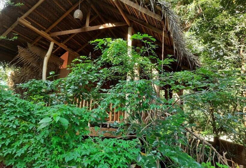 سوییت خانوادگی, Habarana Tree House Mutu Village