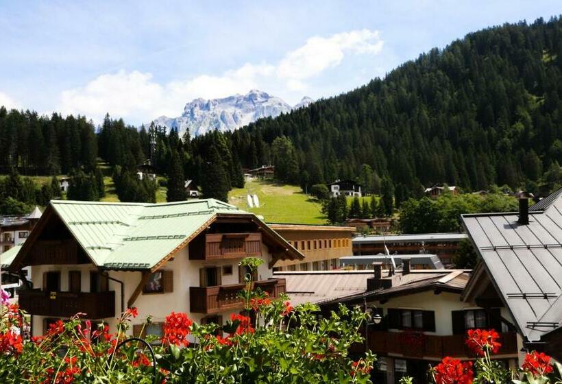 Habitación Clásica, Dolomiti Hotel Cozzio