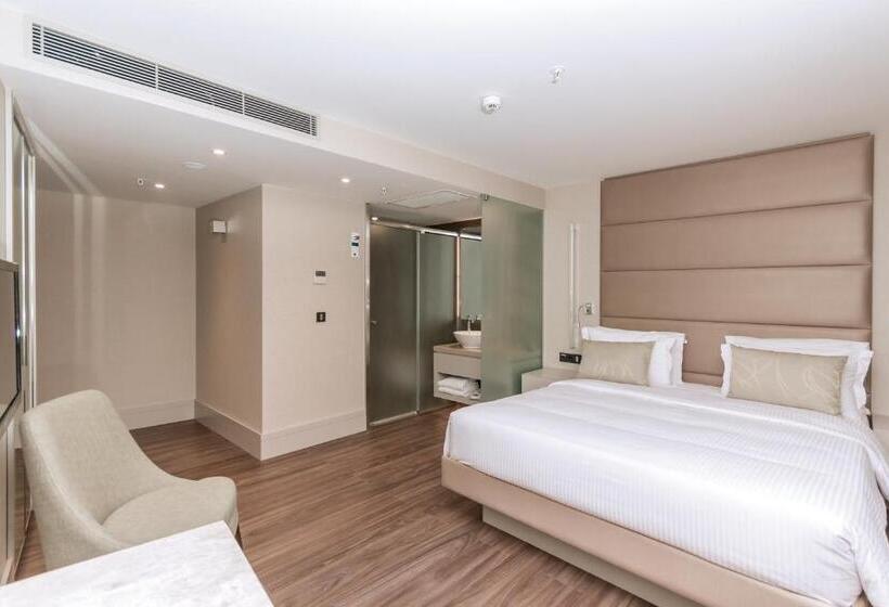 Standard Room King Size Bed, Ac  Istanbul Macka