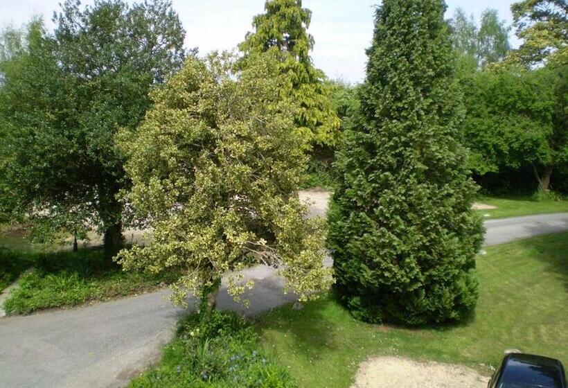 اتاق استاندارد یک نفره, Fieldways